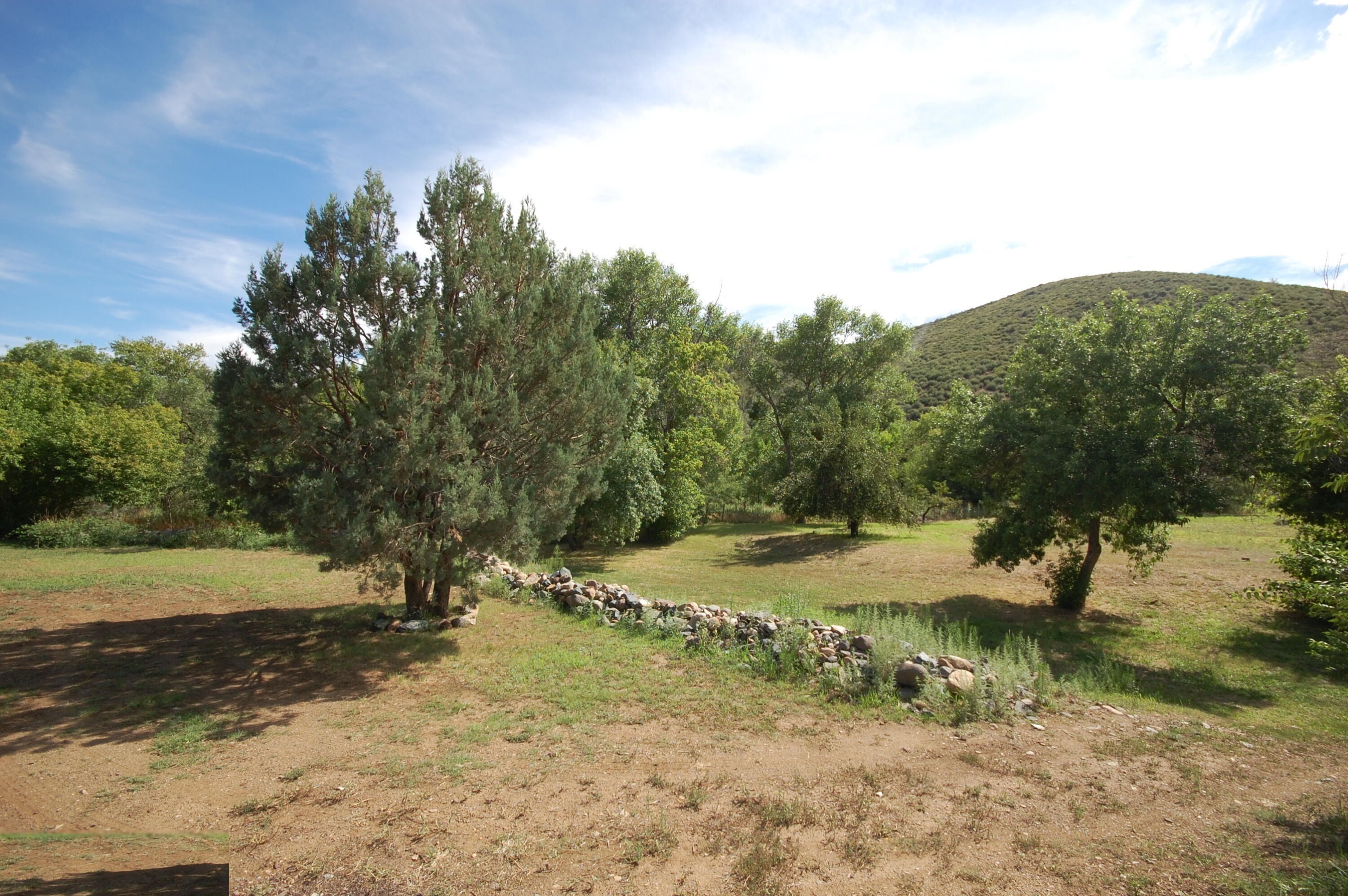 Historic stone wall with juniper meadow